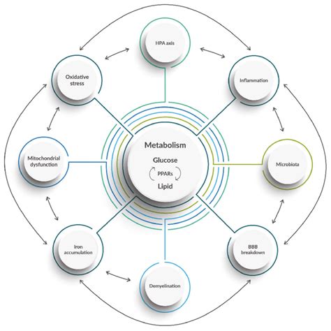 Image result for Systemic Model of Difference