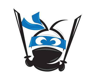 Image result for Ninja Intro Icon