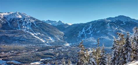 Whistler Programming Software 的图像结果