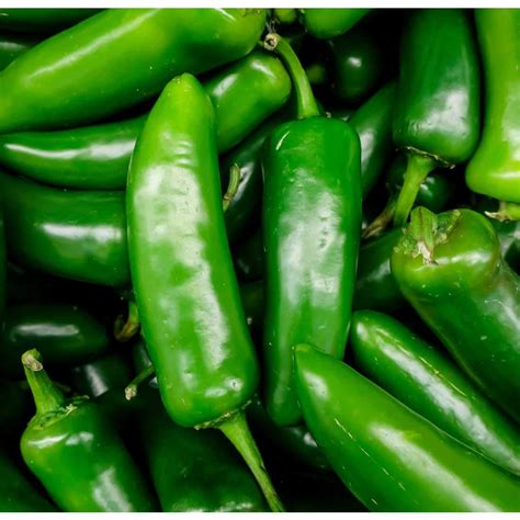 Fresh Jalapeno Peppers 1 Lb | Desertcart Morocco
