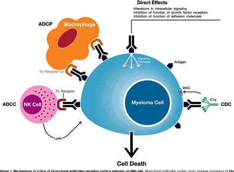 Figure 1 from Clinical efficacy and management of monoclonal antibodies ...