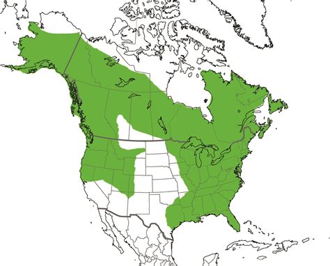 North American River Otter — International Otter Survival Fund