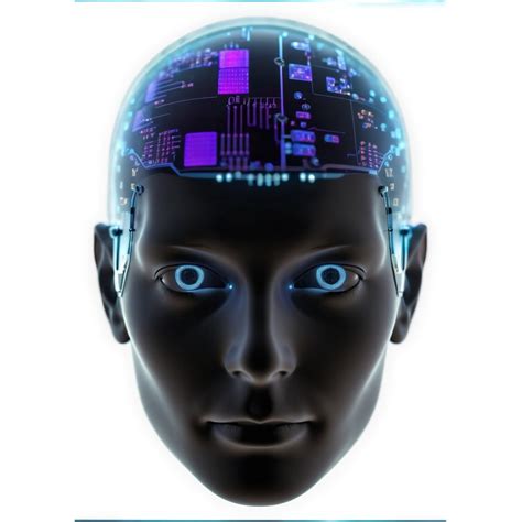 Quantum Circuits 的图像结果