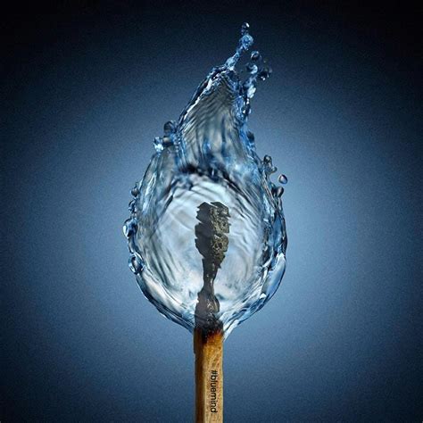 The Blue Mind Book (@getbluemind) • Instagram photos and videos