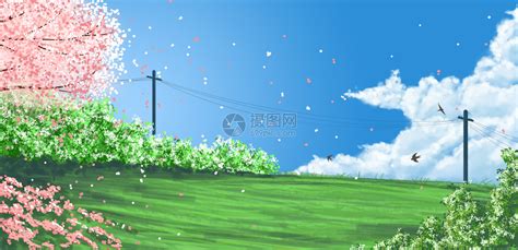 春日的油菜花-9月花卉壁纸专辑-2560x1600下载 | 10wallpaper.com
