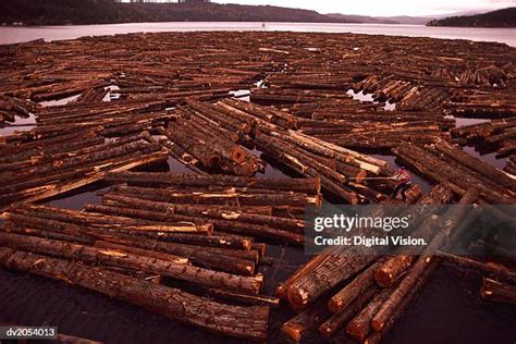 Floating Log 的图像结果