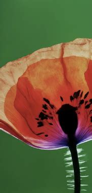 Image result for Android 14-Screen