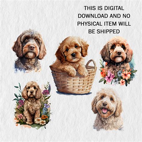 Image result for Cockapoo ClipArt