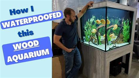How to Test Wood for Aquariums 的图像结果
