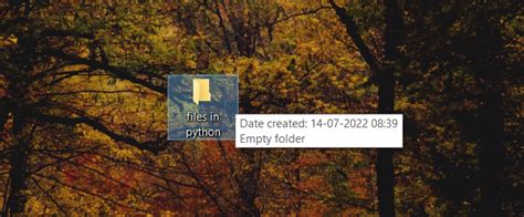 Image result for Python Create Empty File
