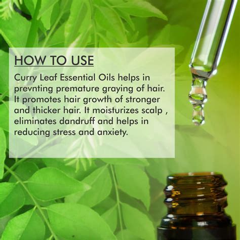 Curry Leaf Essential Oil, Protects Against Sun Damage, Removes Acne