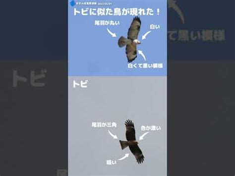 Image result for Example of Real-Time Data Graph
