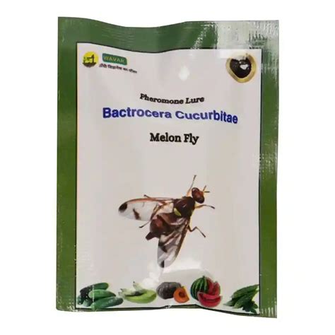Melon Fly Lure (Bactrocera Cucurbitae) | Buy Now – BharatAgri Krushi Dukan