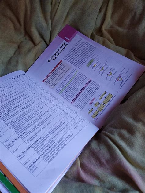 Buy Textbook of Clinical Neuroanatomy, 4e Book Online at Low Prices in ...