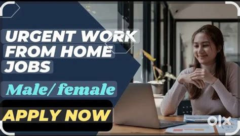 Online jobs data entry work - Data entry & Back office - 1827589127