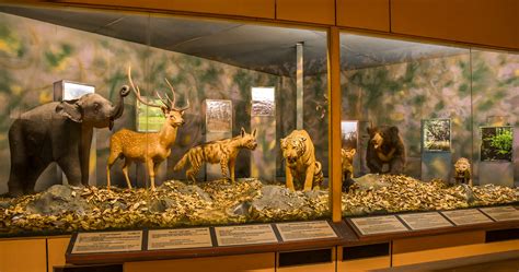 Exhibits/Galleries - PUBLIC GRIEVANCE CELL, Ministry of Defence ...