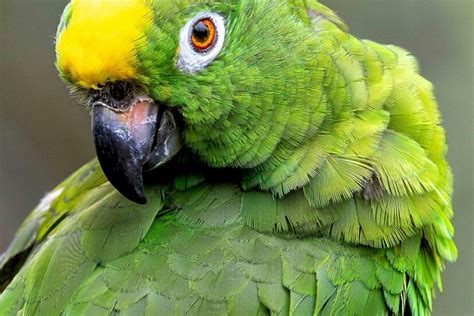 Top Interview Questions and Answers for Fronted development internship ...