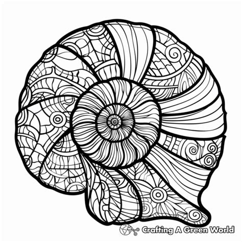 Image result for Shellfish Coloring Pages