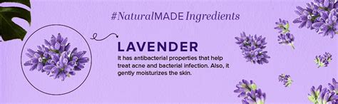 Khadi Pure Lavender Handmade Herbal Soap 125 gm | Enriched With ...