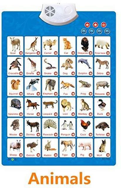 Delidge Sound Wall Chart Electronic Voice Chart Multifunction Preschool ...