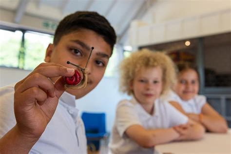 Image result for Taskmaster Series Logo