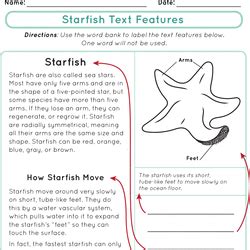 Image result for Text Features Worksheet Free