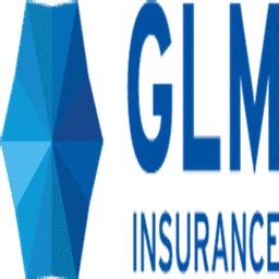 Image result for GLM Auto Insurance Examples