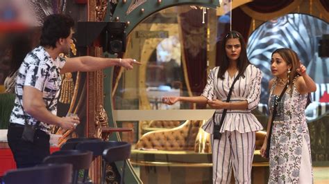 Bigg Boss 16 Written Update Jan 18: Tina Almost Slaps Shalin After He ...