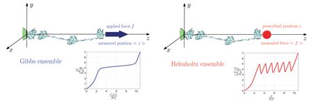 Full Statistics of Conjugated Thermodynamic Ensembles in Chains of ...