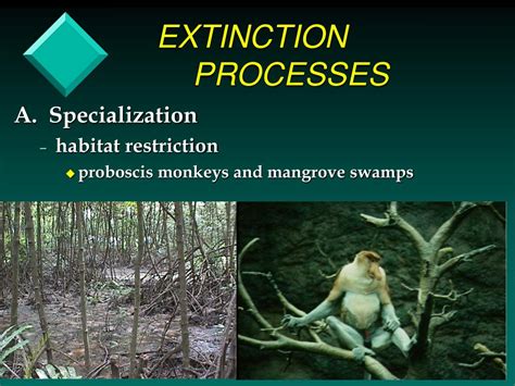 Image result for Extinction Process