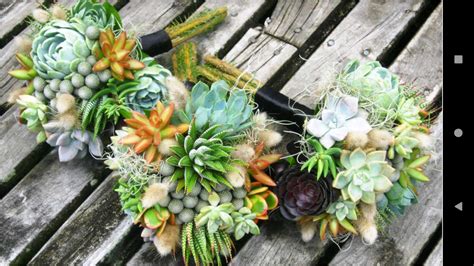 1011 Flowers Wallpapers - App on Amazon Appstore