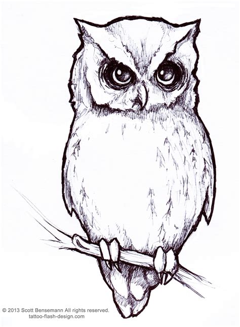 Free Owl Outline, Download Free Owl Outline png images, Free ClipArts on Clipart Library