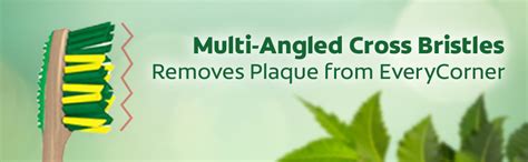 Buy Colgate ZigZag Neem Medium Bristle Toothbrush - 3 Pcs, Soft-Tongue ...