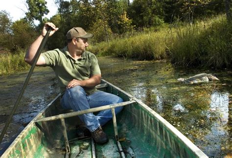 DNR wildlife biologists investigating possible outbreak of EHD in ...