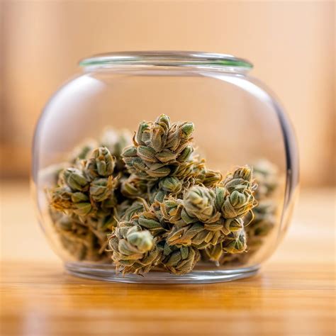 Alien Technology Strain 的图像结果