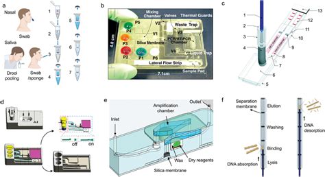 How to Process a DNA Sample 的图像结果