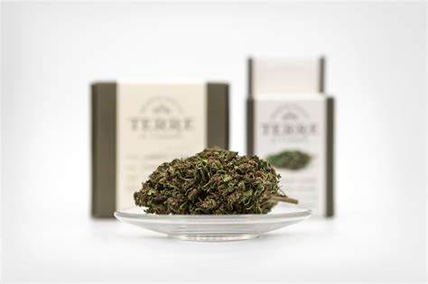 Image result for THC Percentage Chart