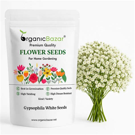 Buy Winter Flower Seeds Online India At Best Price - OrganicBazar ...