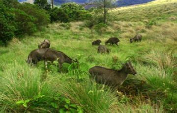 Best 4 Days 3 Nights Munnar Nature Tour Package | Munnar, Alleppey Trip ...