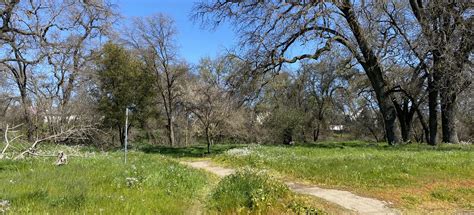 Dry Creek West, California - 159 Reviews, Map | AllTrails