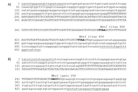 Image result for Restriction Enzyme Map