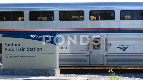 Are Dogs Allowed On The Auto Train To Florida