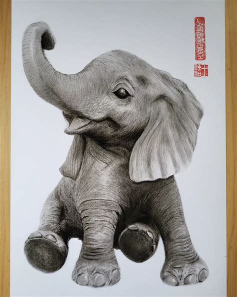 Baby Elephant Drawing