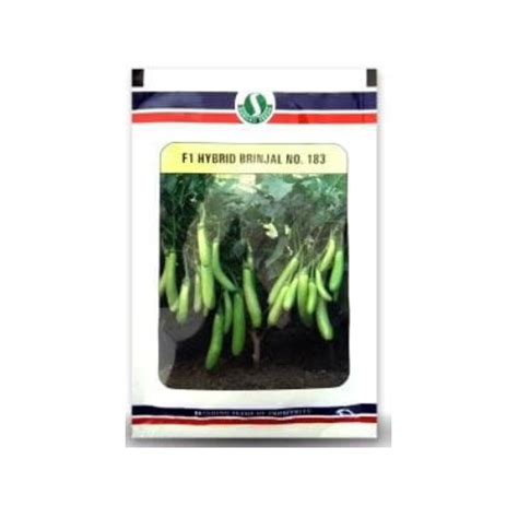 Mahyco Brinjal 183 Seeds - 10 GM – Agriplex