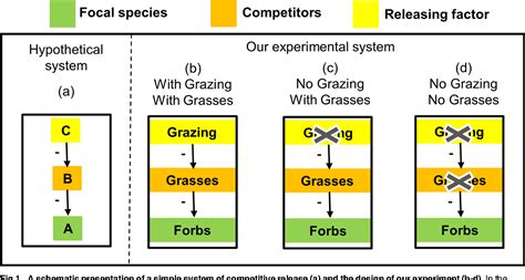 Image result for Competitive Exclusion Example Abingdon Tortoise