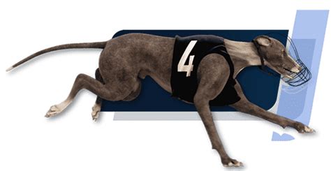 Image result for Digital Gaming Services Script