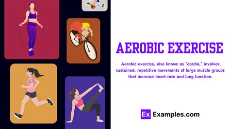 Exercise Program Examples 的图像结果