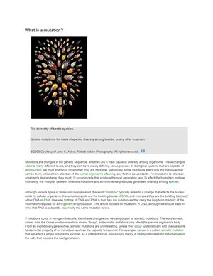 Image result for Variant Definition