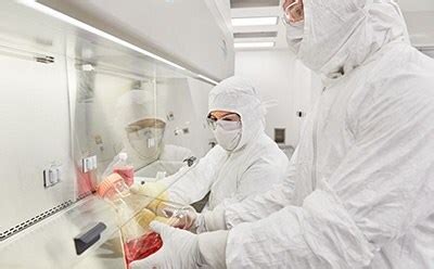 Manufacturing Test Vector 的图像结果