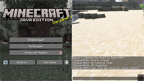 How to Hide Chat in Minecraft Java 的图像结果